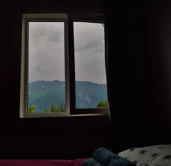 پانسیون Gujejiani Guest House