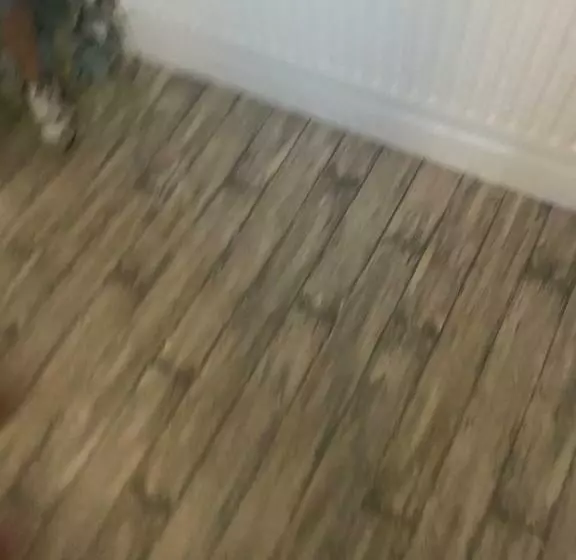 تختخواب و صبحانه Bnb