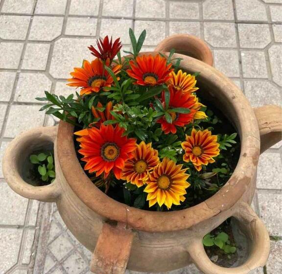 Vista Mare Case Vacanza