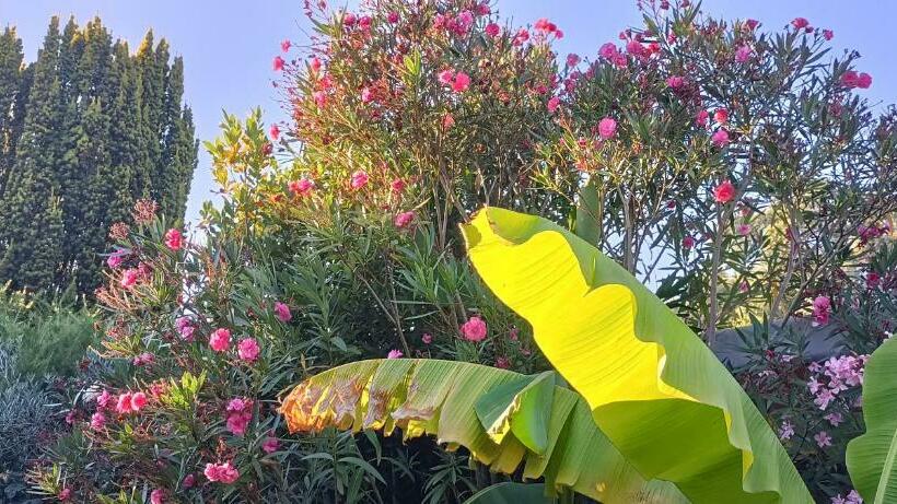 Maison Cocooning, Bord De Sèvre Nantaise