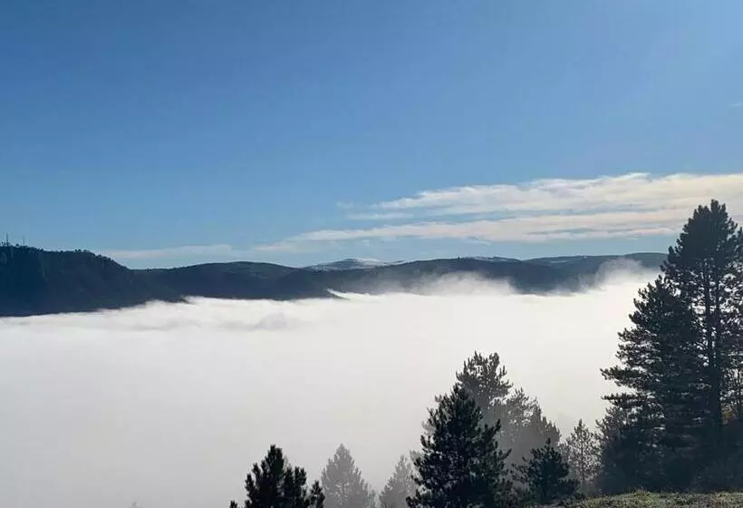 ベッドアンドブレックファースト Manoir Du Charme Dans Les Gorges Du Tarn Causses Lozere