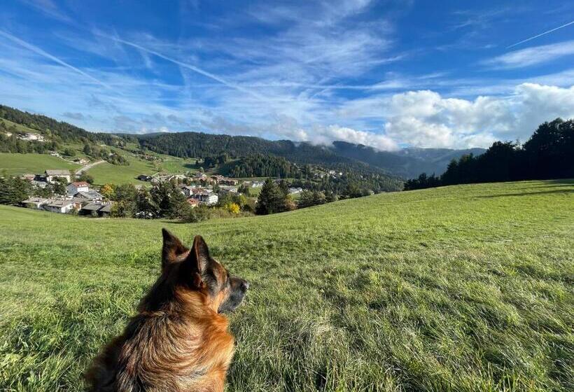 בית מלון כפרי Rech Hof Sayonara