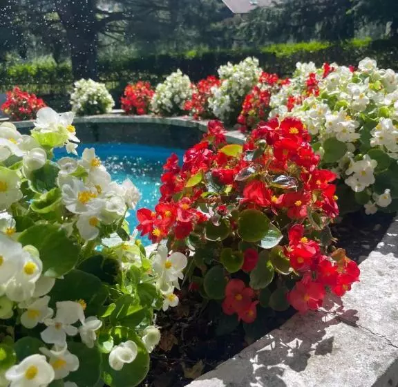 Hotelli Rech Hof Sayonara