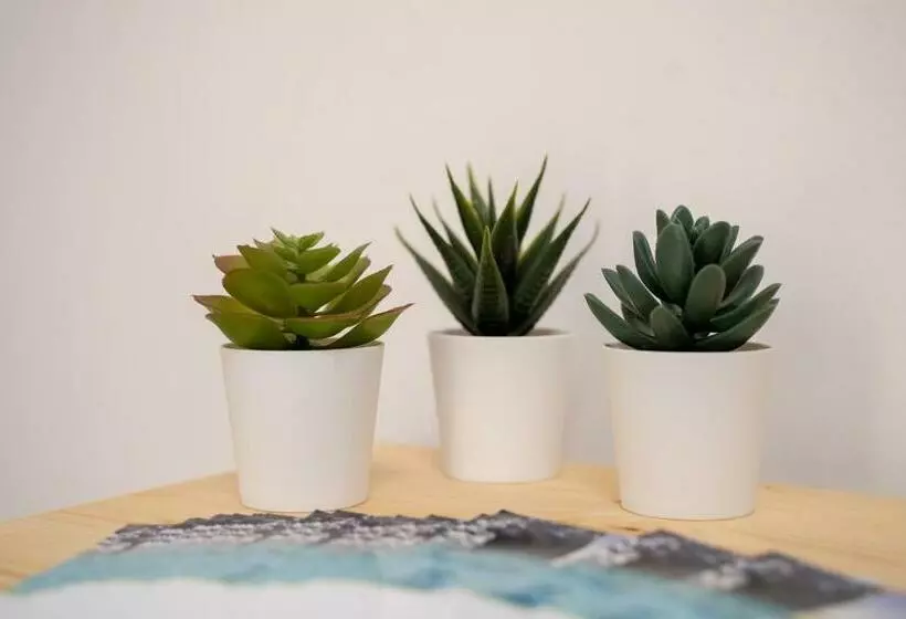 Majatalo L Angolo Di Acitrezza