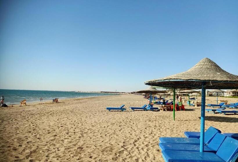 Rivera Beach 1   Ras Sedr