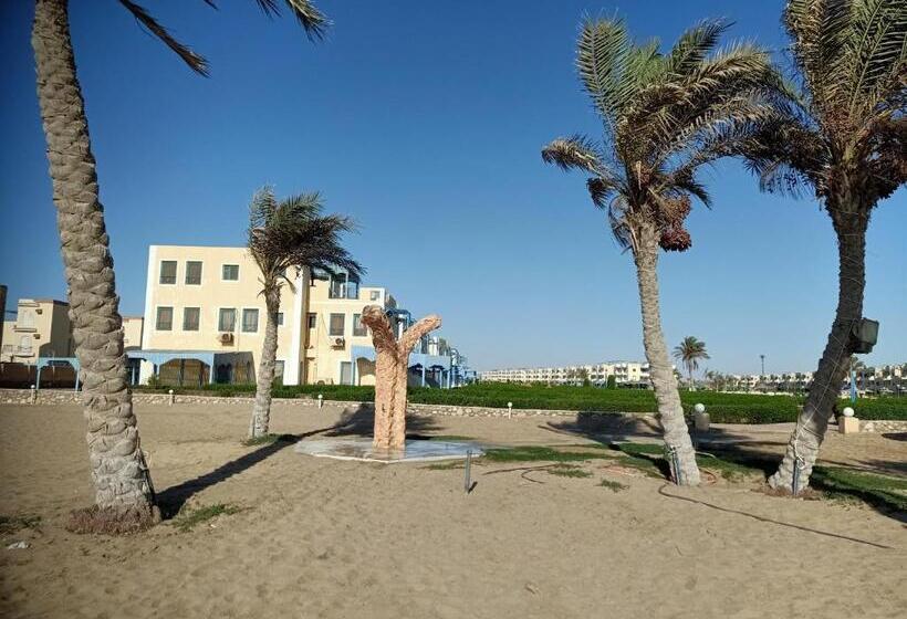 Rivera Beach 1   Ras Sedr