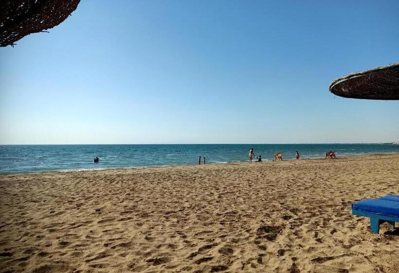 Rivera Beach 1   Ras Sedr