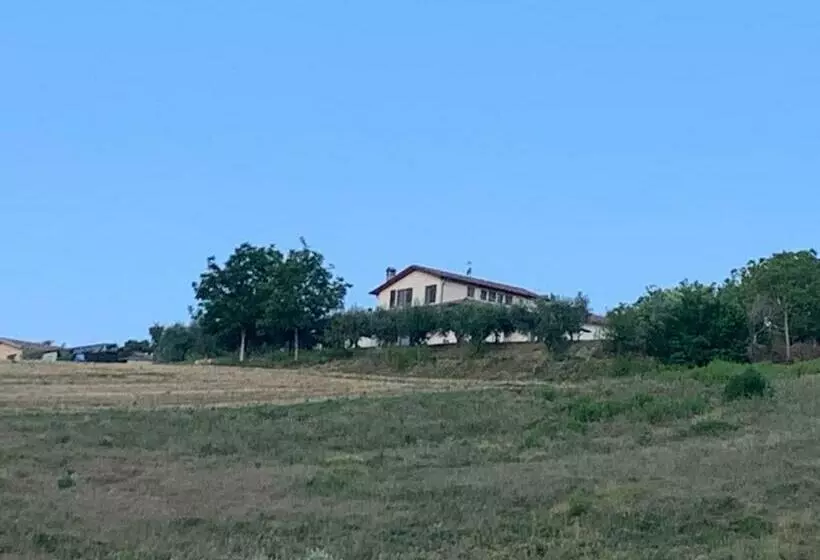 Casa Vacanze Fra Gli Ulivi