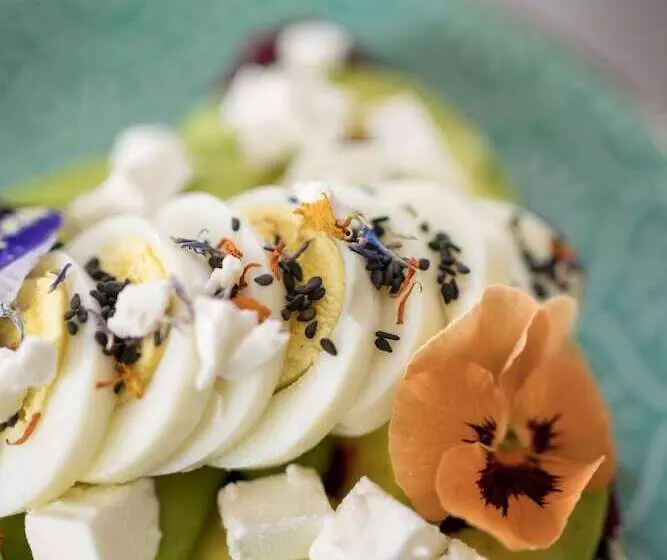 Hotelli Barabara Eat&sleep Eco Boutique