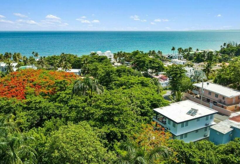 هتل Casa Al Mare #3 1 Bdr 4 Min Walk To Sandy Beach