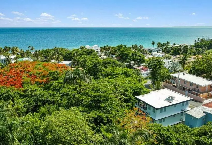 هتل Casa Al Mare #3  1 Bdr   4 Min Walk To Sandy Beach