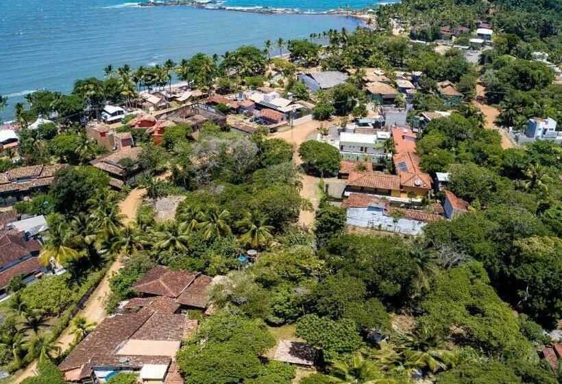 בית מלון כפרי Navio Hostel & Camping