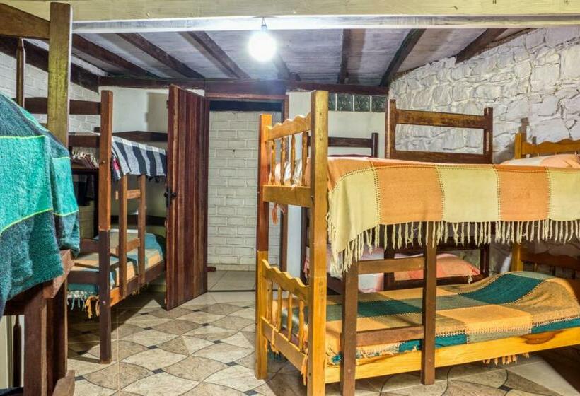 בית מלון כפרי Navio Hostel & Camping