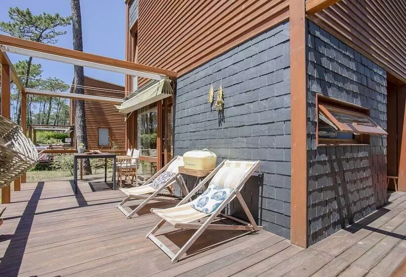 Liiiving In Ofir   Seaside Pool Bungalow