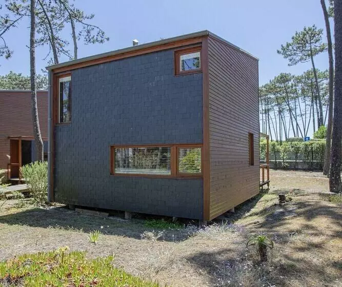 Liiiving In Ofir   Seaside Pool Bungalow