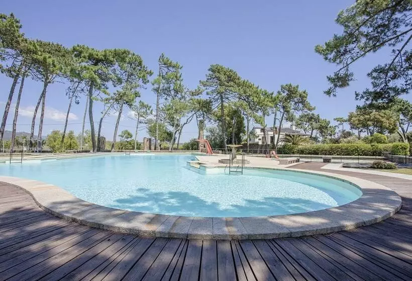 Liiiving In Ofir   Seaside Pool Bungalow