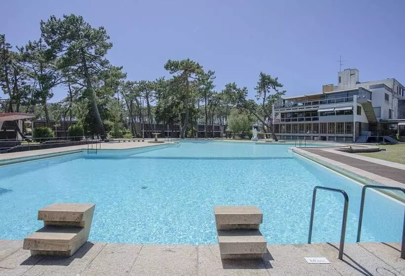 Liiiving In Ofir   Seaside Pool Bungalow