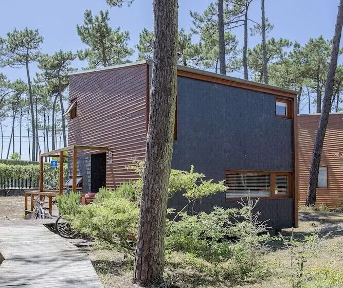 Liiiving In Ofir   Seaside Pool Bungalow