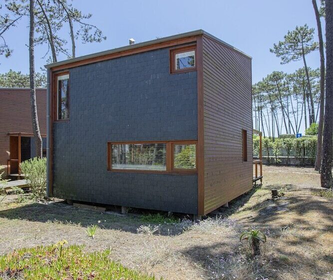 Liiiving In Ofir   Seaside Pool Bungalow