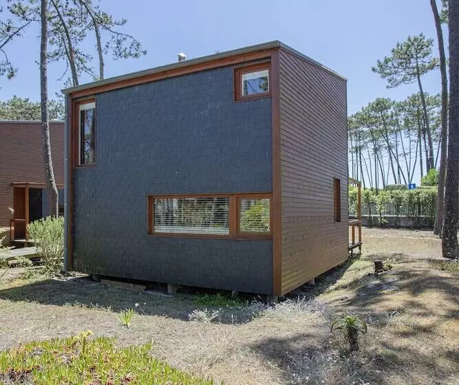 Liiiving In Ofir   Seaside Pool Bungalow