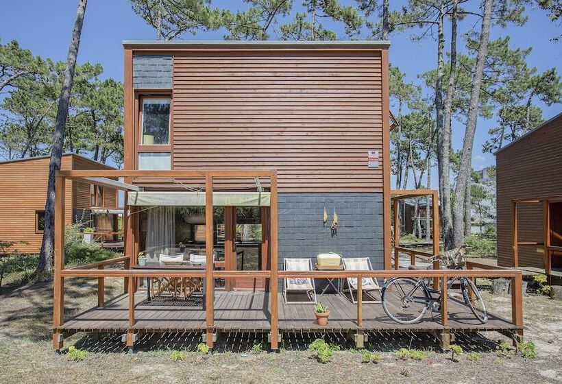 Liiiving In Ofir   Seaside Pool Bungalow