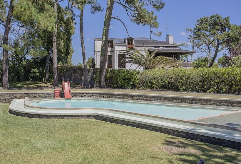 Liiiving In Ofir   Seaside Pool Bungalow