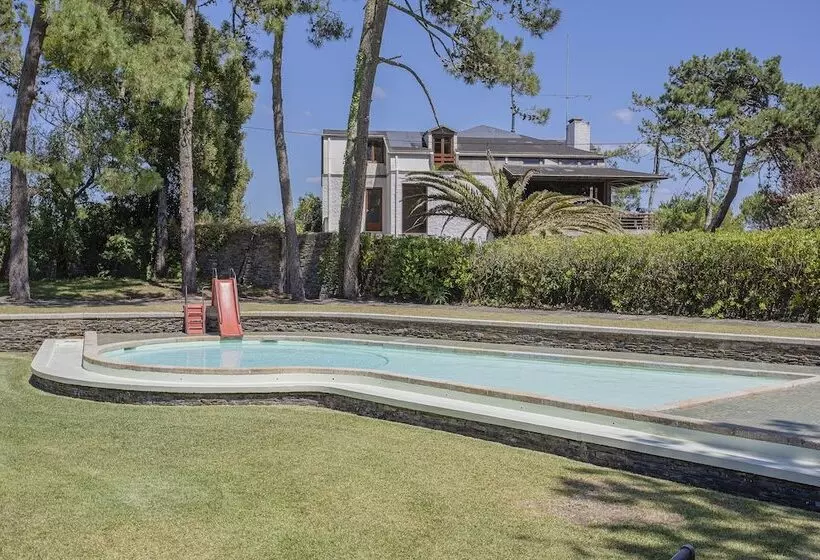 Liiiving In Ofir   Seaside Pool Bungalow