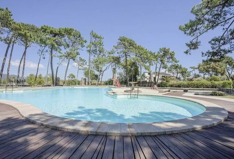 Liiiving In Ofir   Seaside Pool Bungalow