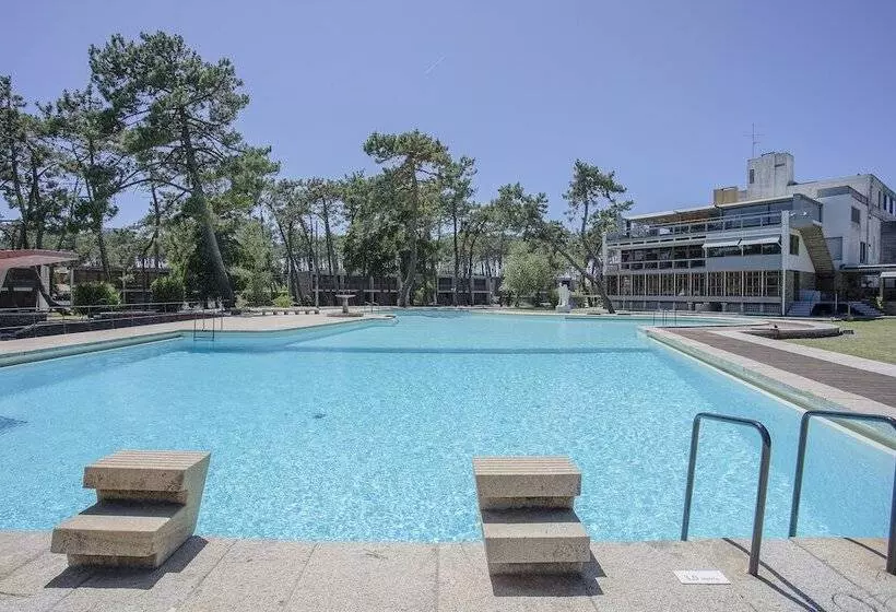 Liiiving In Ofir   Seaside Pool Bungalow