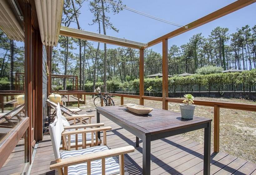 Liiiving In Ofir   Seaside Pool Bungalow