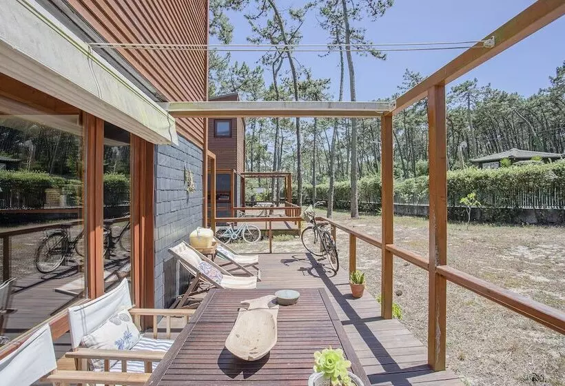 Liiiving In Ofir   Seaside Pool Bungalow