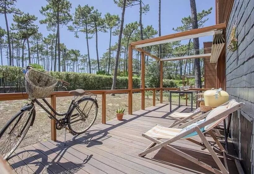 Liiiving In Ofir   Seaside Pool Bungalow