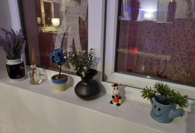 پانسیون El Sol