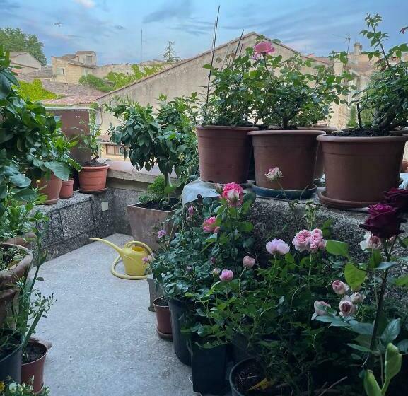 بنسيون Jolie Chambre Avec Petit Jardin Vue Magnifique Pernes Les Fontaines