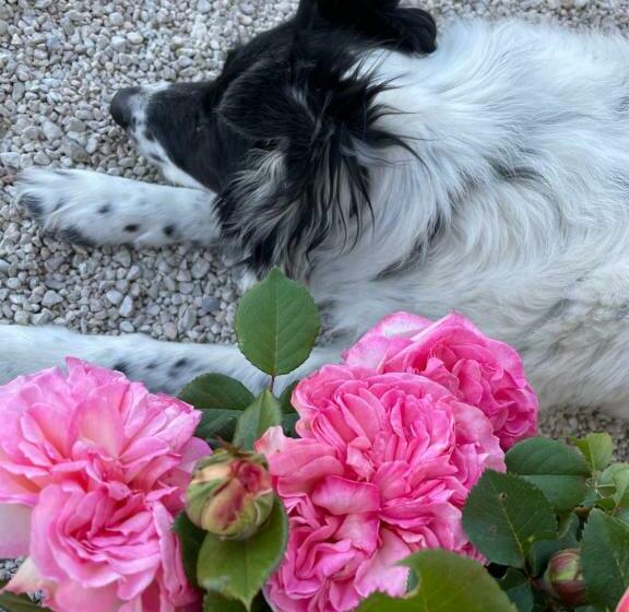 بنسيون Jolie Chambre Avec Petit Jardin Vue Magnifique Pernes Les Fontaines