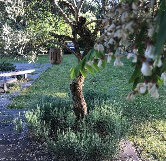 Bed and Breakfast Ostal 158