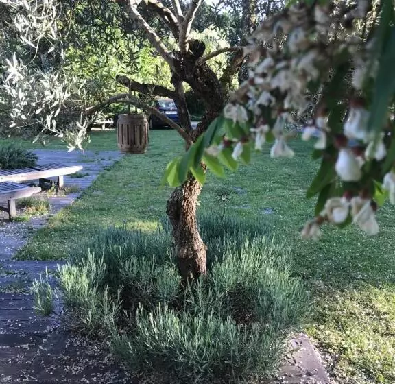 Aamiaismajoitus (B&B) Ostal 158