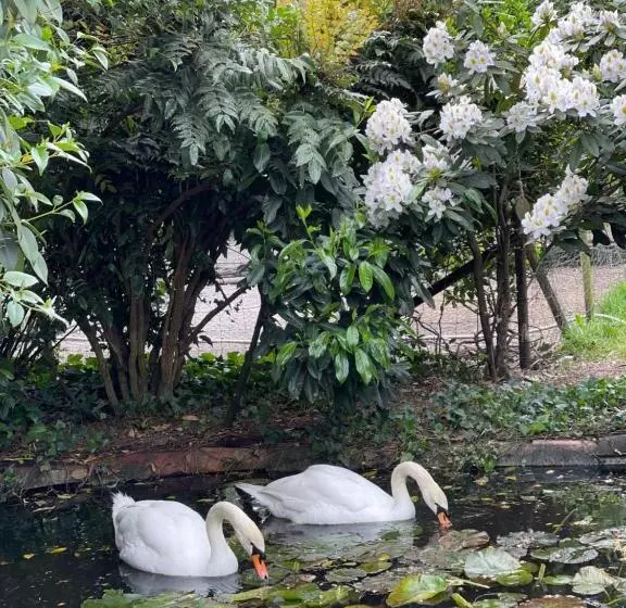 Aamiaismajoitus (B&B) Ostal 158