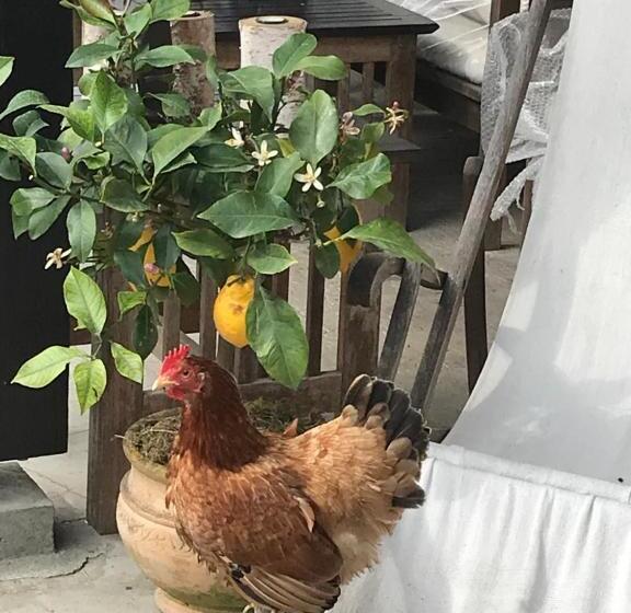 Bed and Breakfast Ostal 158