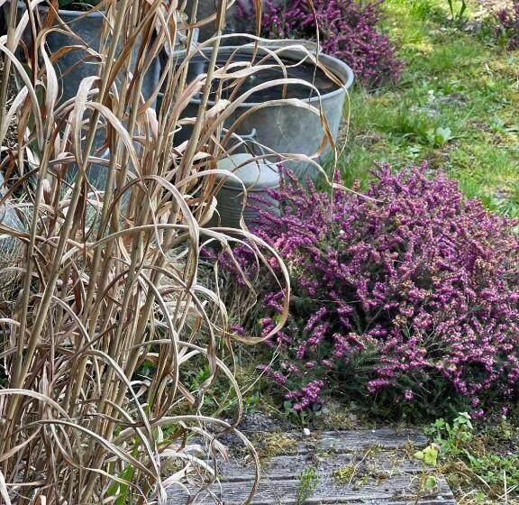 Bed and Breakfast Ostal 158