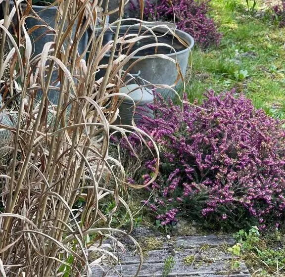 Aamiaismajoitus (B&B) Ostal 158