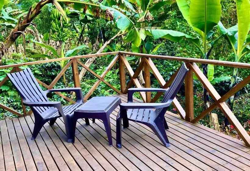 ホテル Finca Agroturistica Descubre Tu Regalo