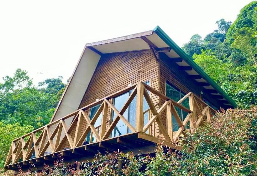 ホテル Finca Agroturistica Descubre Tu Regalo
