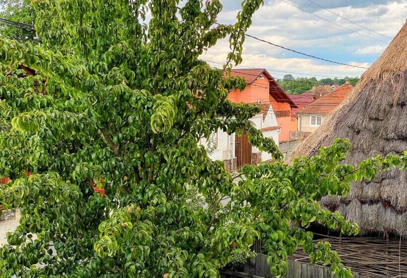 بنسيون Casa Popa