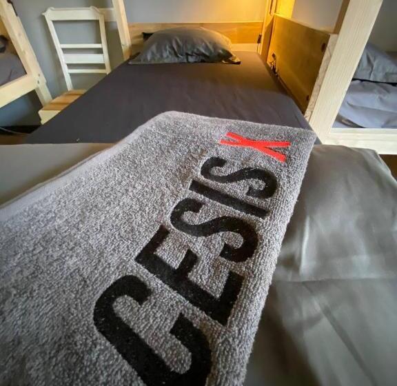Boutique Hostel Cesis X
