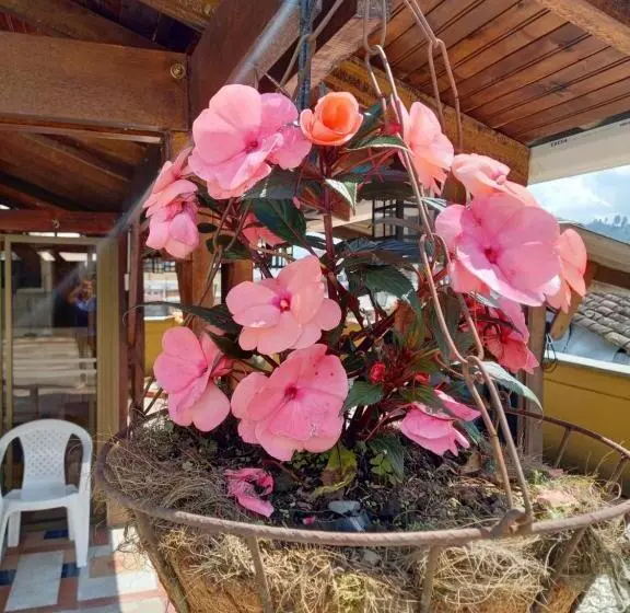 ペンション The Canarys Hostal