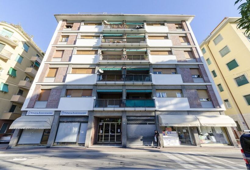 Joivy Central Liberty Blue