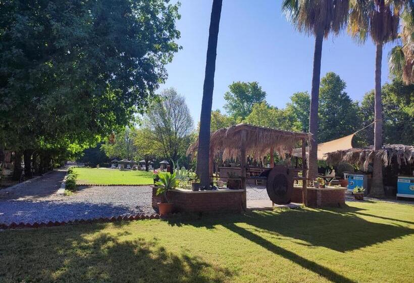 Nocleg ze śniadaniem Gaia Koru Bungalows