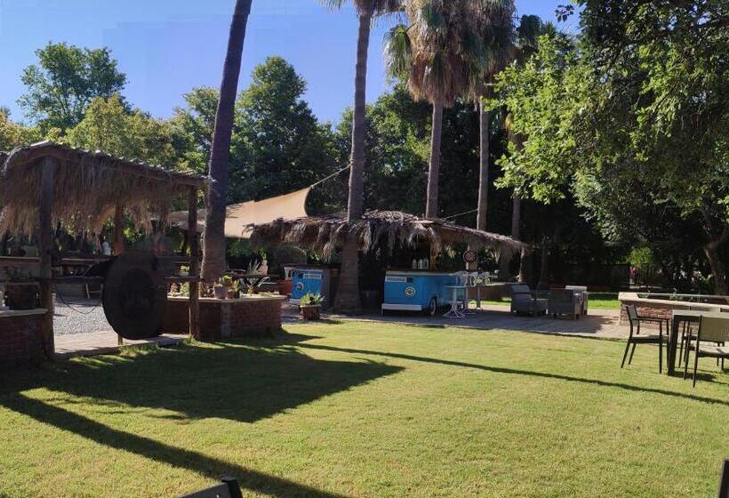 Nocleg ze śniadaniem Gaia Koru Bungalows