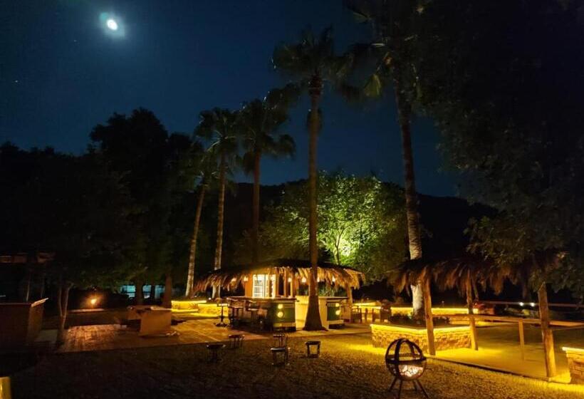 Nocleg ze śniadaniem Gaia Koru Bungalows